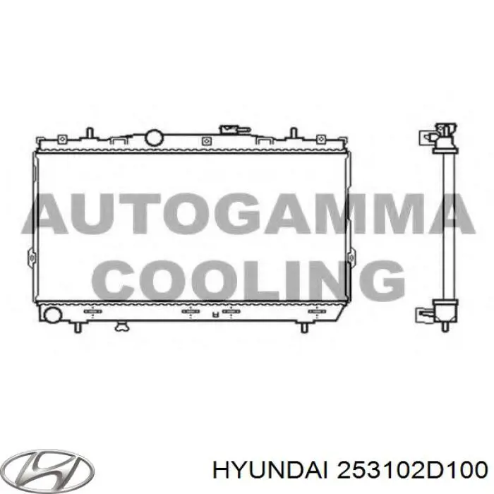 Do koszyka 253102D100 Hyundai/Kia Chłodnica silnika