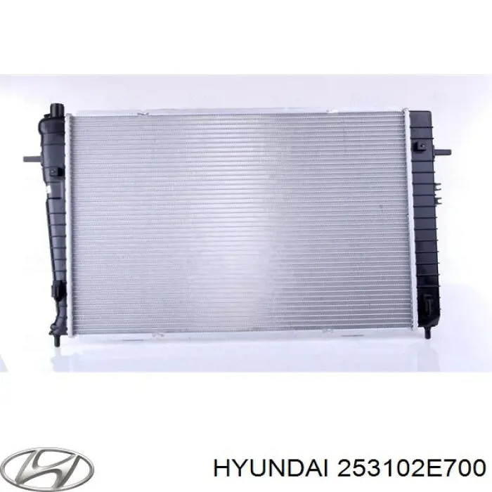 Do koszyka 253102E700 Hyundai/Kia Chłodnica silnika