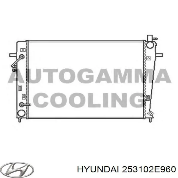 Chłodnica silnika Hyundai/Kia 253102E960 cena, od 118,00 USD