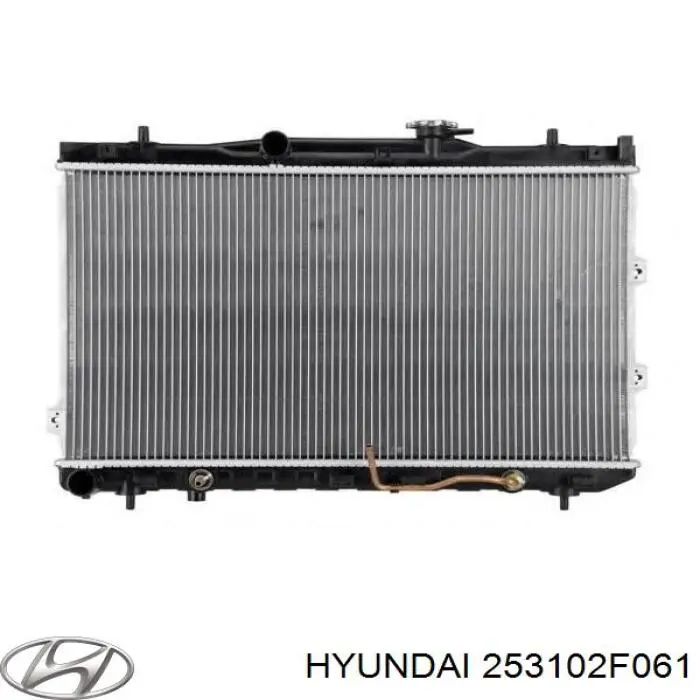 Do koszyka 253102F061 Hyundai/Kia Chłodnica silnika