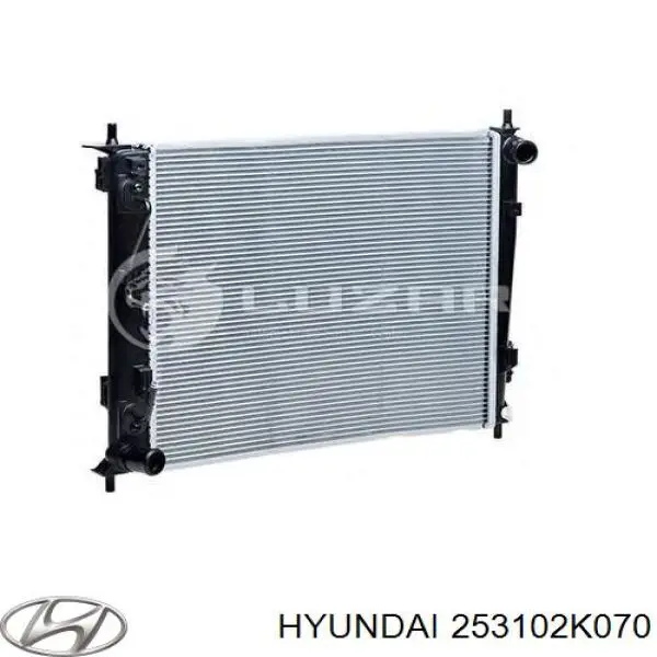 Do koszyka 253102K070 Hyundai/Kia Chłodnica silnika