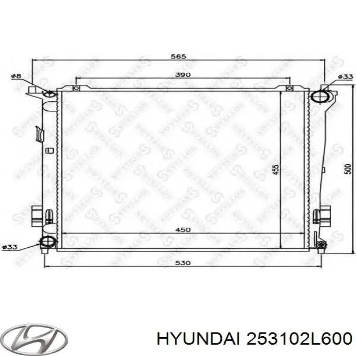Do koszyka 253102L600 Hyundai/Kia Chłodnica silnika