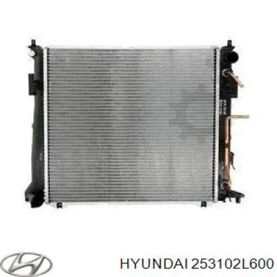 253102L600 Hyundai/Kia Chłodnica silnika