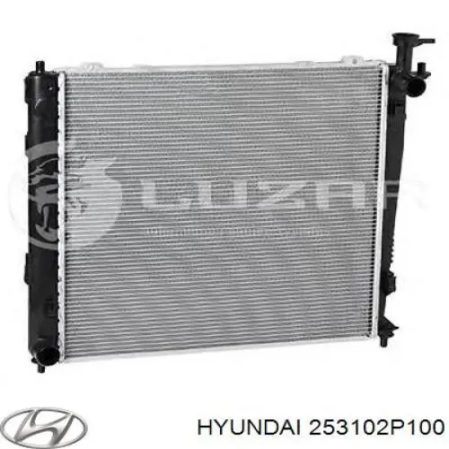 Chłodnica silnika Hyundai/Kia 253102P100 cena, od 190,54 USD