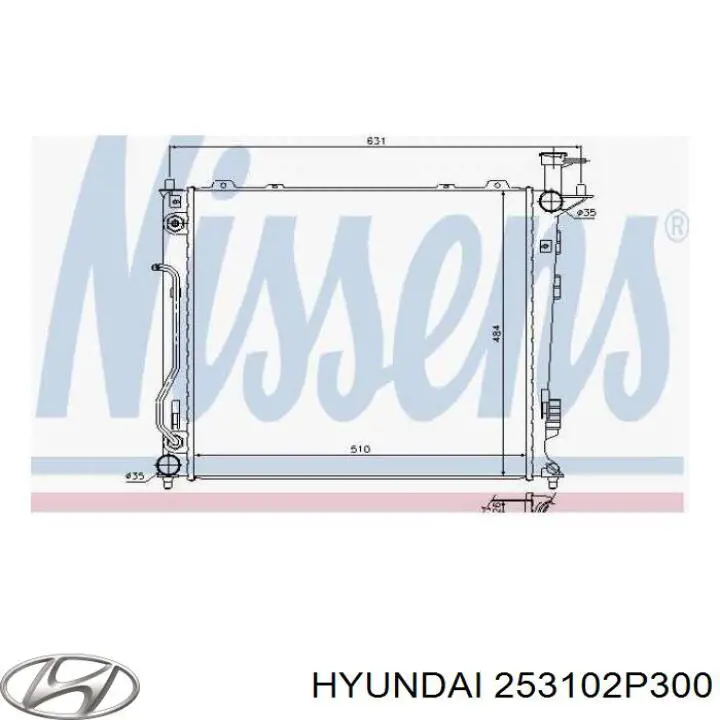 Chłodnica silnika Hyundai/Kia 253102P300 cena, od 133,95 USD