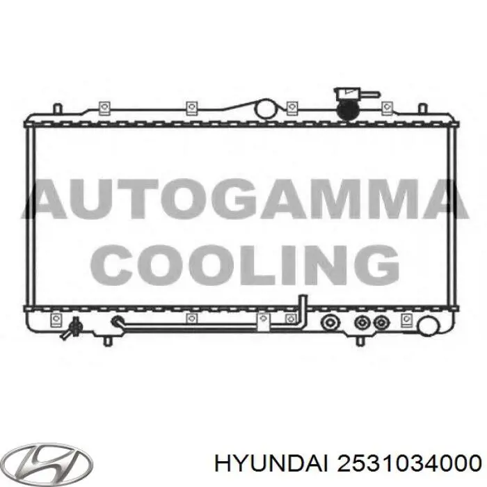 Do koszyka 2531034000 Hyundai/Kia Chłodnica silnika