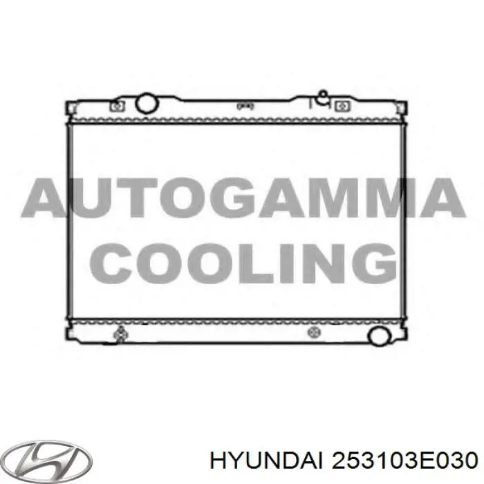 Chłodnica silnika Hyundai/Kia 253103E030 cena, od 183,30 USD