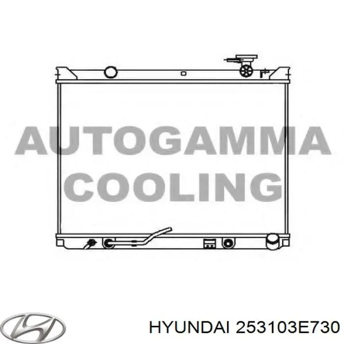 Chłodnica silnika Hyundai/Kia 253103E730 cena, od 169,38 USD