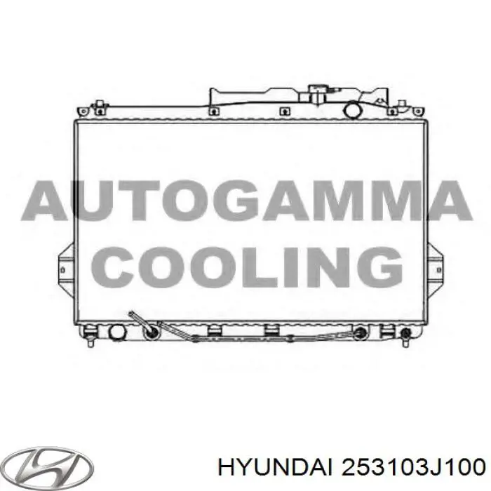 253103J100 Hyundai/Kia Chłodnica silnika