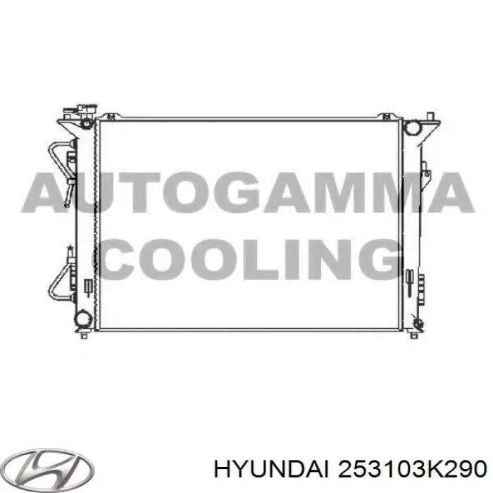 Do koszyka 253103K290 Hyundai/Kia Chłodnica silnika