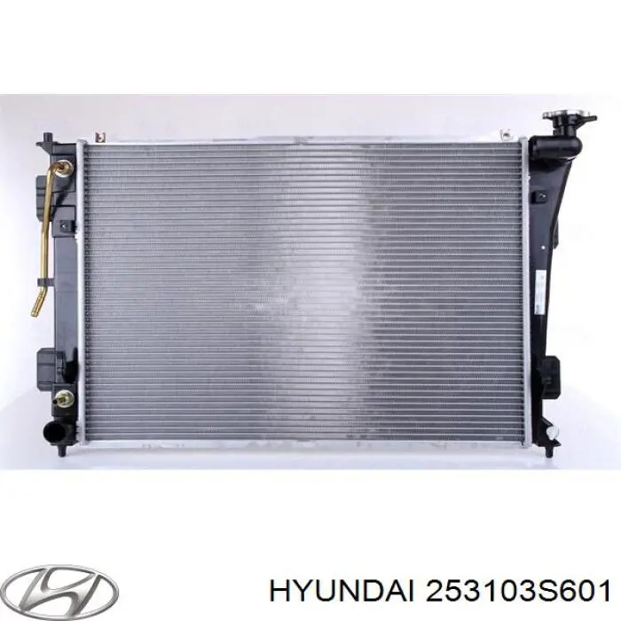 253103S601 Hyundai/Kia Chłodnica silnika