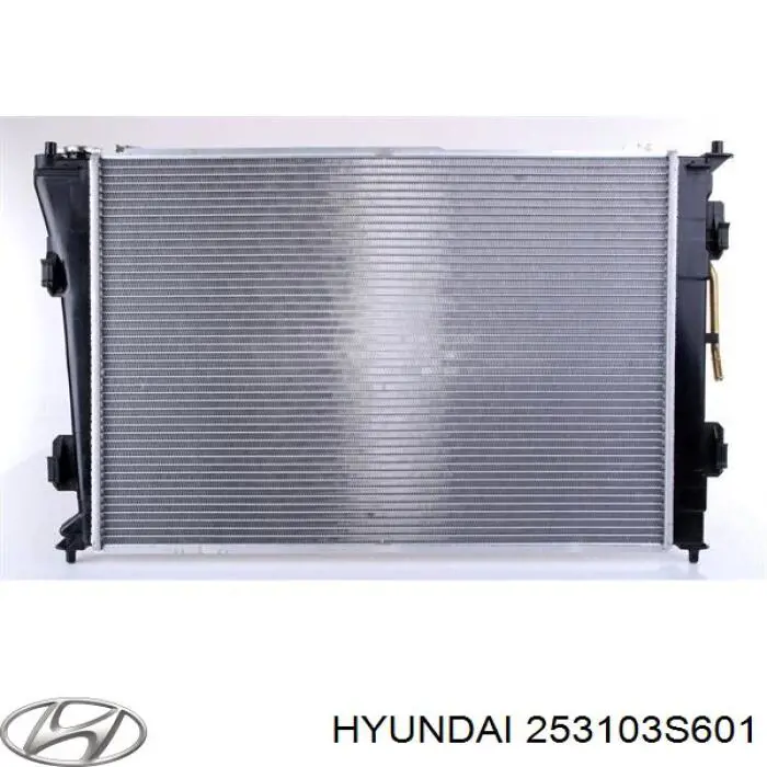 Chłodnica silnika Hyundai/Kia 253103S601 cena, od 158,14 USD