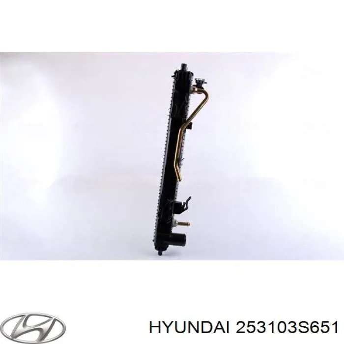 Chłodnica silnika Hyundai/Kia 253103S651 cena, od 155,24 USD