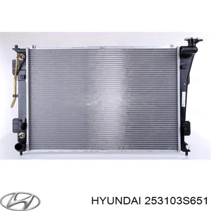 Do koszyka 253103S651 Hyundai/Kia Chłodnica silnika