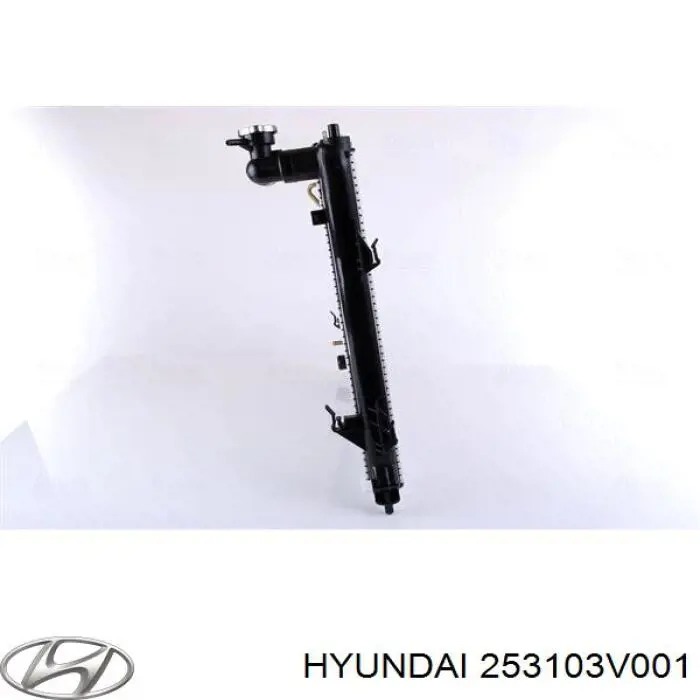 Do koszyka 253103V001 Hyundai/Kia Chłodnica silnika