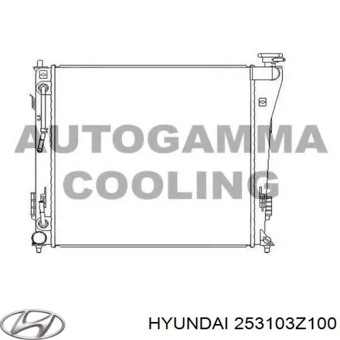 Chłodnica silnika 253103Z100 Hyundai/Kia