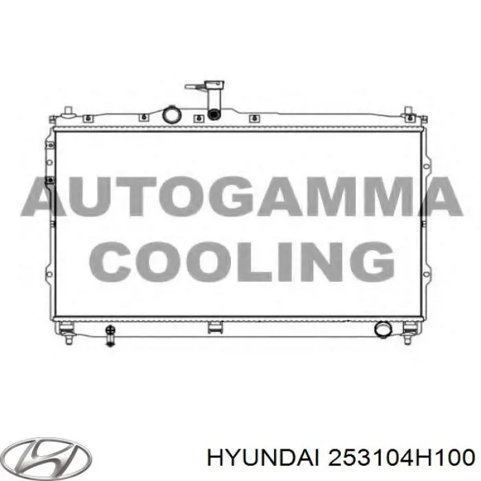 253104H100 Hyundai/Kia Chłodnica silnika