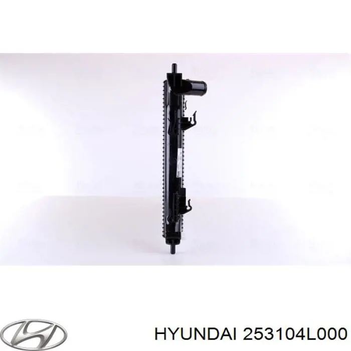 Do koszyka 253104L000 Hyundai/Kia Chłodnica silnika