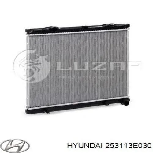 253113E030 Hyundai/Kia Chłodnica silnika