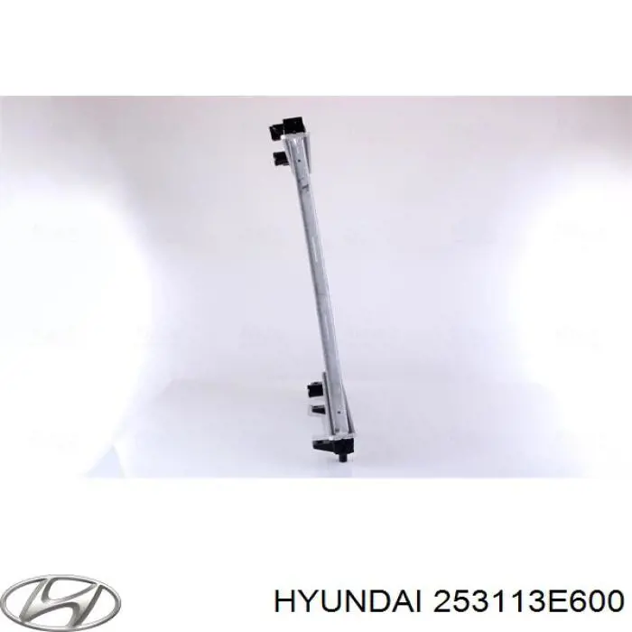 Chłodnica silnika Hyundai/Kia 253113E600 cena, od 169,14 USD