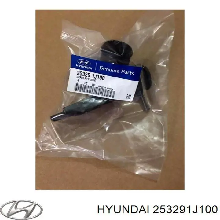 253291J100 Hyundai/Kia Wlew płynu chłodniczego