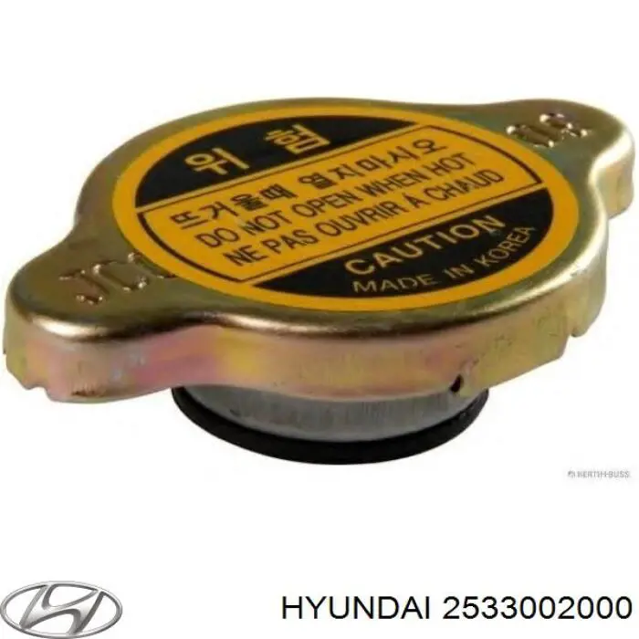 2533002000 Hyundai/Kia Pokrywa (korek) chłodnicy