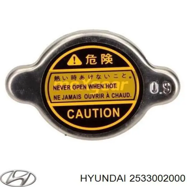 Pokrywa (korek) chłodnicy Hyundai/Kia 2533002000 cena, od 8,47 USD