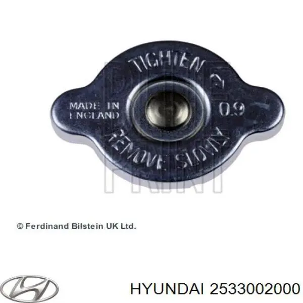 Do koszyka 2533002000 Hyundai/Kia Pokrywa (korek) chłodnicy