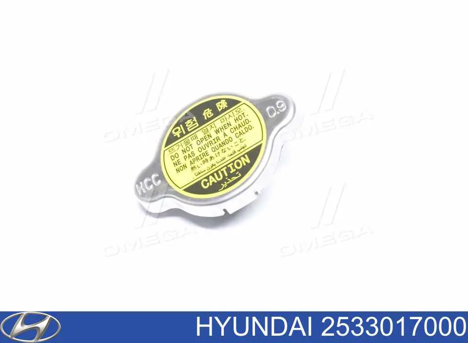 2533017000 Hyundai/Kia Pokrywa (korek) chłodnicy
