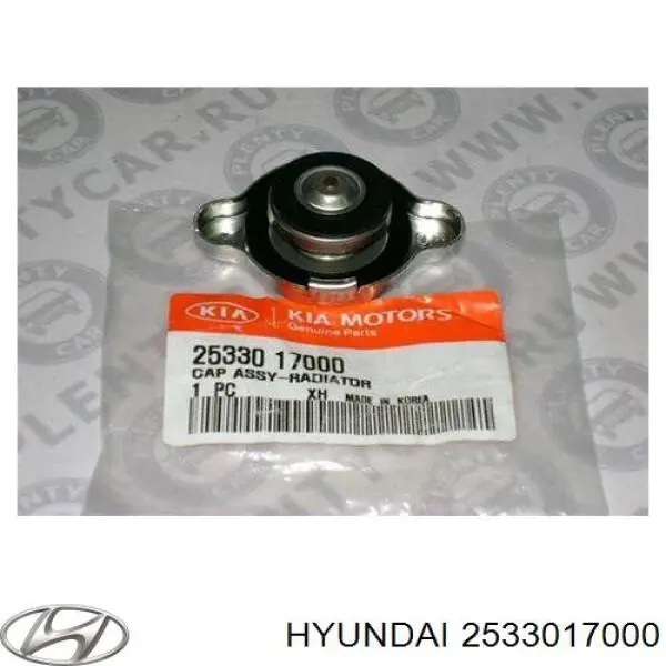 Do koszyka 2533017000 Hyundai/Kia Pokrywa (korek) chłodnicy