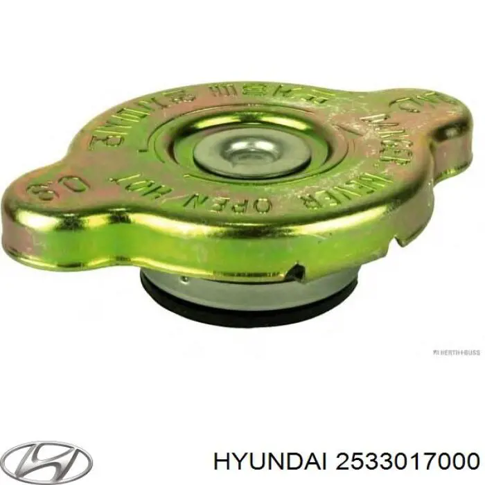 Do koszyka 2533017000 Hyundai/Kia Pokrywa (korek) chłodnicy