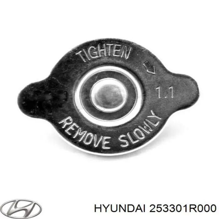 Do koszyka 253301R000 Hyundai/Kia Pokrywa (korek) chłodnicy