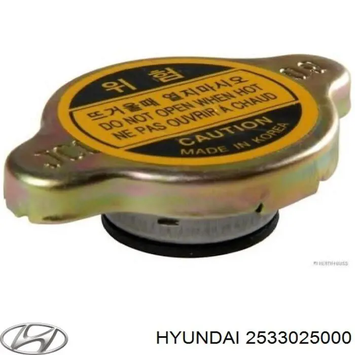2533025000 Hyundai/Kia Pokrywa (korek) chłodnicy