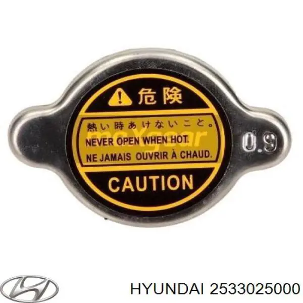 Do koszyka 2533025000 Hyundai/Kia Pokrywa (korek) chłodnicy