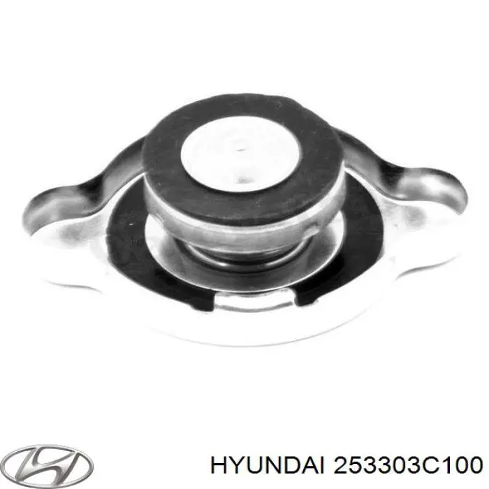 Pokrywa (korek) chłodnicy Hyundai/Kia 253303C100 cena, od 7,89 USD