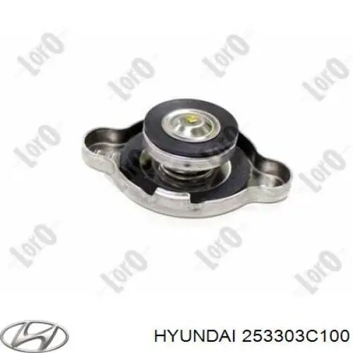 Do koszyka 253303C100 Hyundai/Kia Pokrywa (korek) chłodnicy