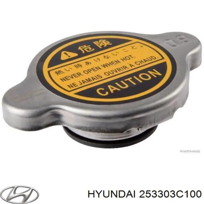 Pokrywa (korek) chłodnicy Hyundai/Kia 253303C100 cena, od 7,89 USD