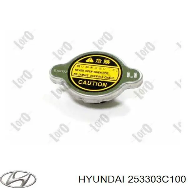 253303C100 Hyundai/Kia Pokrywa (korek) chłodnicy