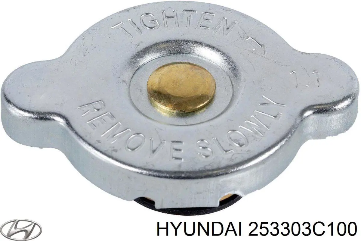 Pokrywa (korek) chłodnicy 253303C100 Hyundai/Kia