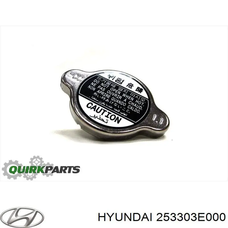Do koszyka 253303E000 Hyundai/Kia Pokrywa (korek) chłodnicy