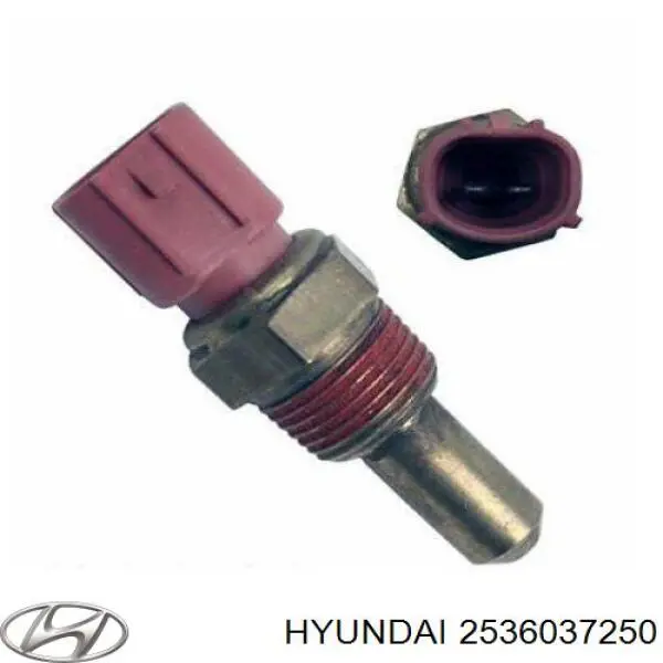 2536037250 Hyundai/Kia Czujnik temperatury płynu chłodzącego (włączenia wentylatora chłodnicy)