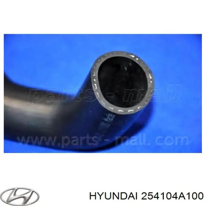 254104A100 Hyundai/Kia Przewód (króciec) chłodnicy górny