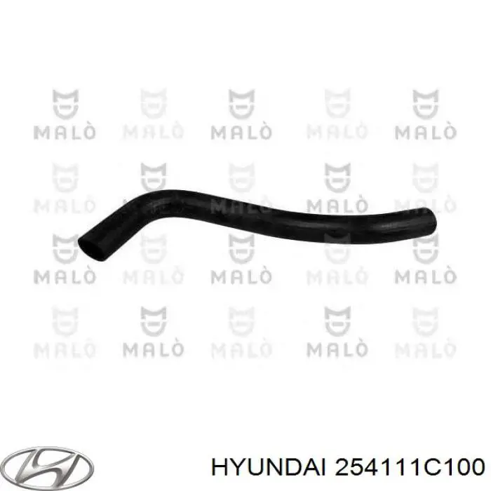 Przewód (króciec) chłodnicy górny Hyundai/Kia 254111C100 cena, od 9,38 USD