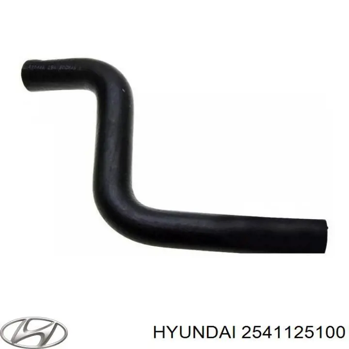 Przewód (króciec) chłodnicy górny Hyundai/Kia 2541125100 cena, od 8,23 USD