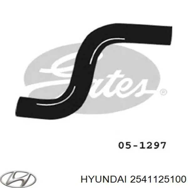 Do koszyka 2541125100 Hyundai/Kia Przewód (króciec) chłodnicy górny