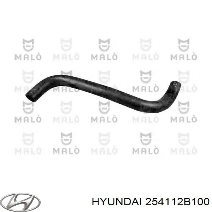 Przewód (króciec) chłodnicy górny Hyundai/Kia 254112B100 cena, od 20,21 USD