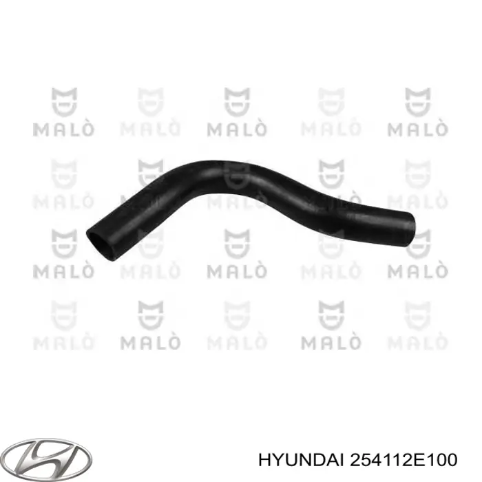 Przewód (króciec) chłodnicy górny Hyundai/Kia 254112E100 cena, od 15,85 USD