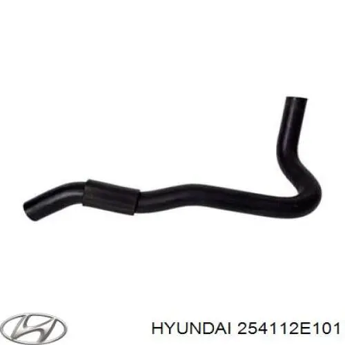 Do koszyka 254112E101 Hyundai/Kia Przewód (króciec) chłodnicy górny