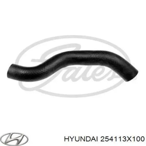 254113X100 Hyundai/Kia Przewód (króciec) chłodnicy górny