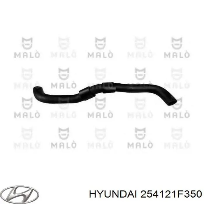 Przewód (króciec) chłodnicy dolny Hyundai/Kia 254121F350 cena, od 18,99 USD